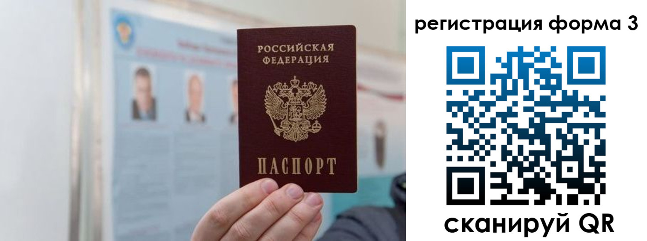 прописка в Ковдоре
